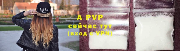 крисы Алексин