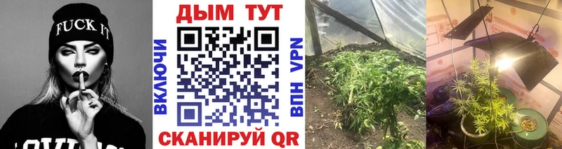 Бошки Шишки план  Агидель 